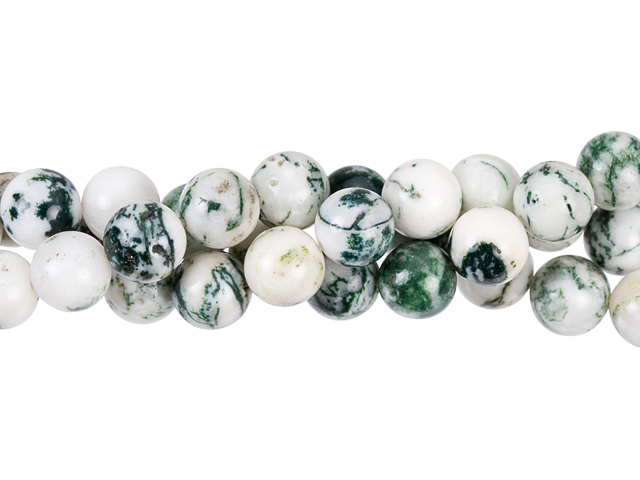 Tree Agate Gemstones