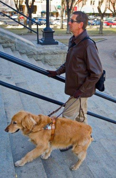 Teaching a Blind Dog to Walk Up Stairs - Puppy Stairs