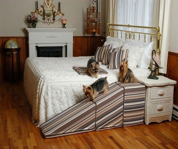 How to Teach Your Dog to Use Ramps or Stairs Puppy Stairs