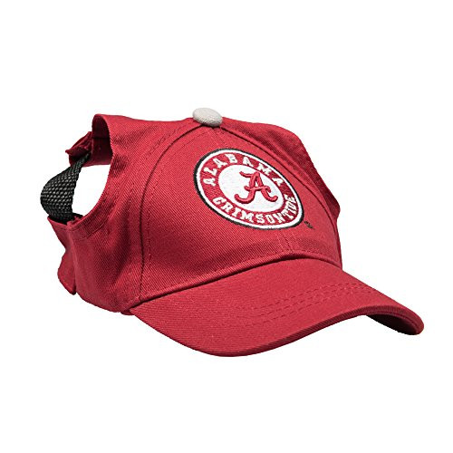 Collegiate Pet Baseball Hat