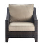Serta Tahoe Outdoor Arm Chair, Terra Brown Wicker