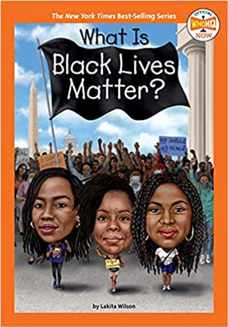 What Is BLack Lives Matter at ashaybythebay.com