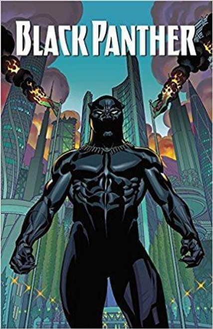 Black Panther: A Nation Under Our Feet Book 1 at AshayByTheBay.com
