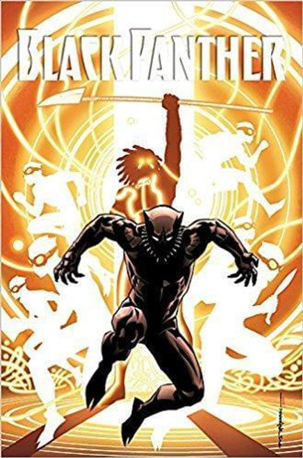 Black Panther: A Nation Under Our Feet Book 2 at AshayByTheBay.com