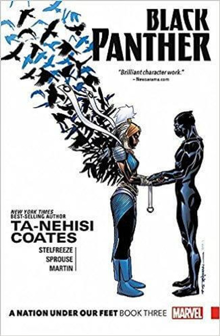 Black Panther: A Nation Under Our Feet Book 3 at AshayByTheBay.com