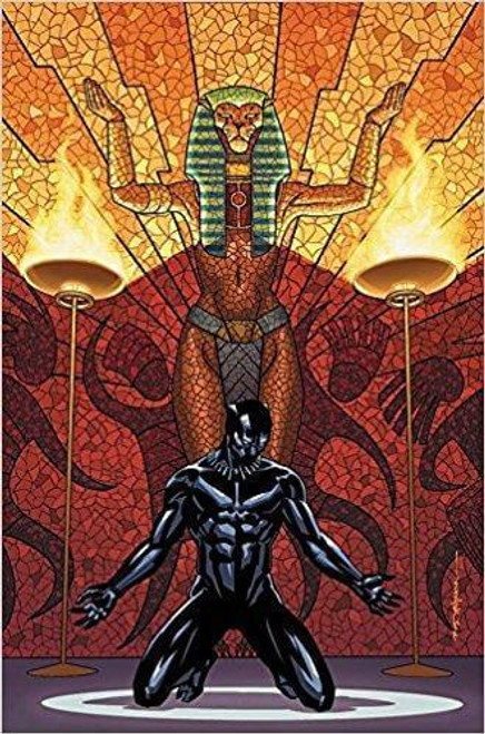 Black Panther Book 4: Avengers of the New World Book 1 at AshayByTheBay.com