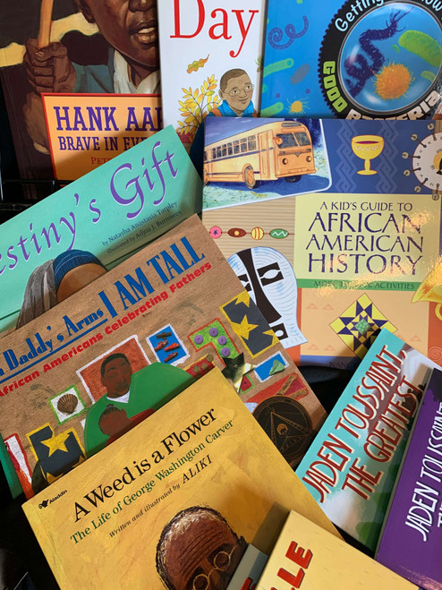 Ashay's "NEW" 2023-2024 African American Third Grade Collection 93 Books $1185 with 5% Discount!