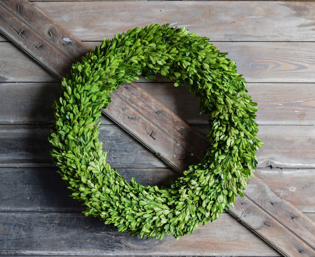 PRESERVED BOXWOOD COUNTRY MANOR WREATH - ROUND - 24 INCH