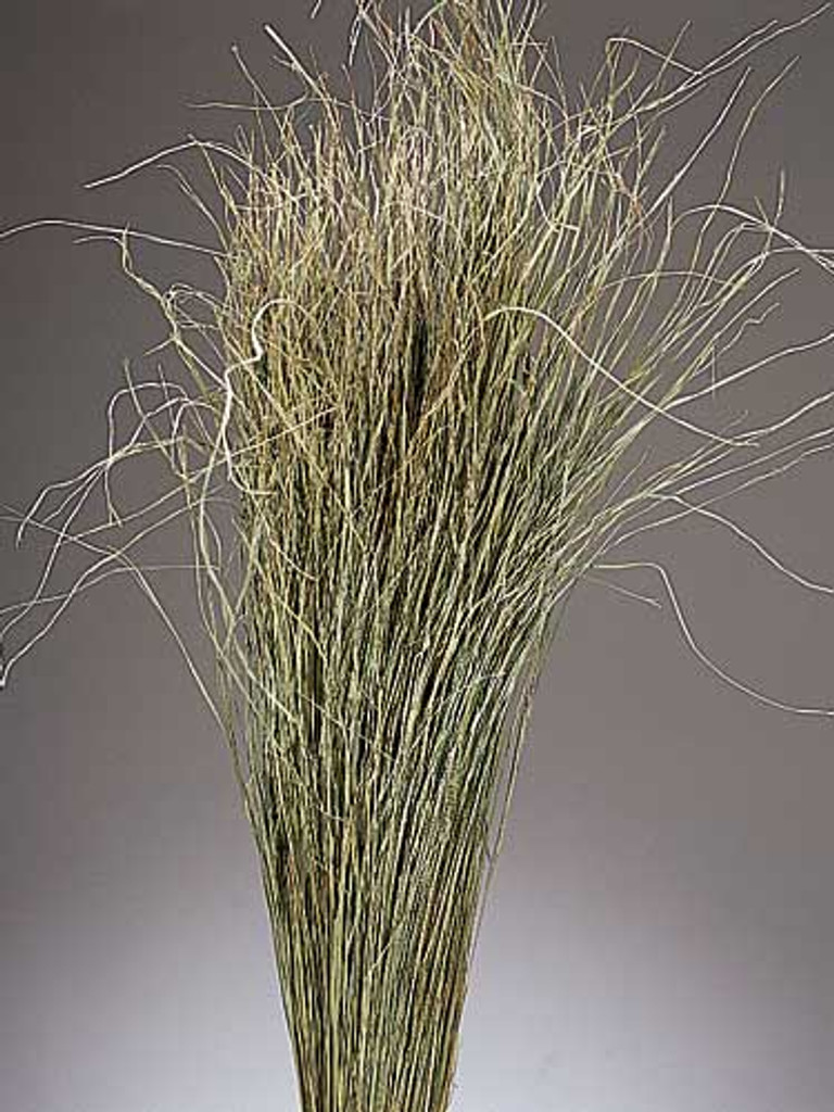 MEADOW GRASS - NATURAL - 20 BUNCHES