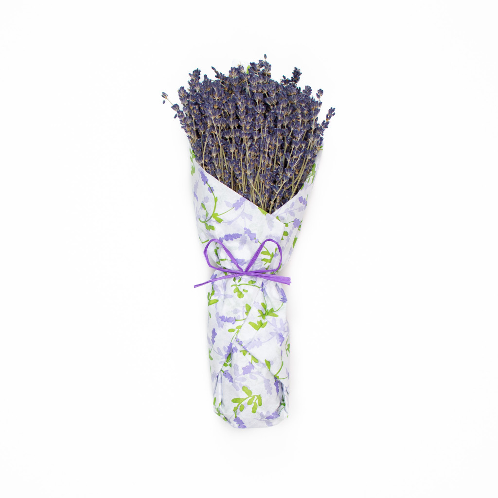 FRENCH LAVENDER WRAPPED IN TISSUE - LAVENDER FIELDS