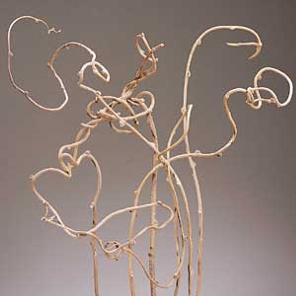 KIWI VINE - NATURAL - (26-28")