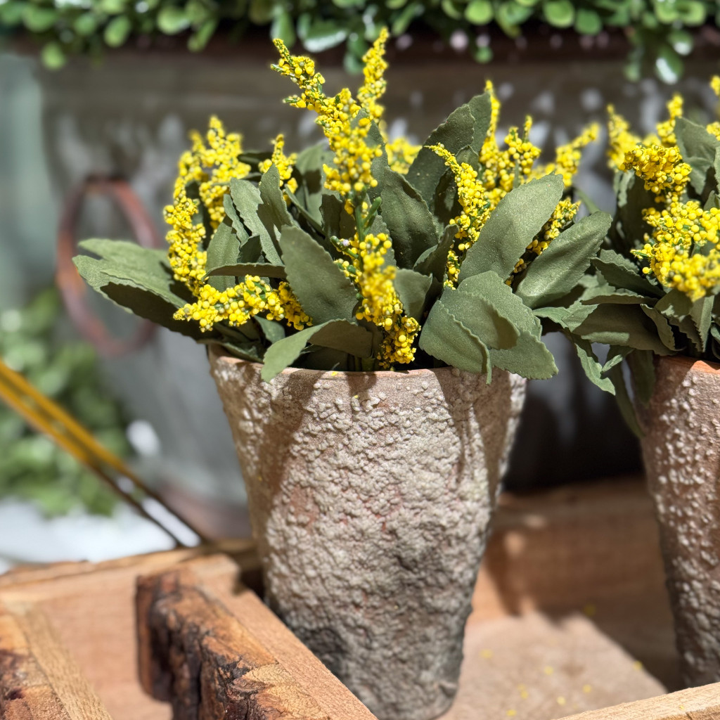 POTTED AMARANTH - GOLDENROD