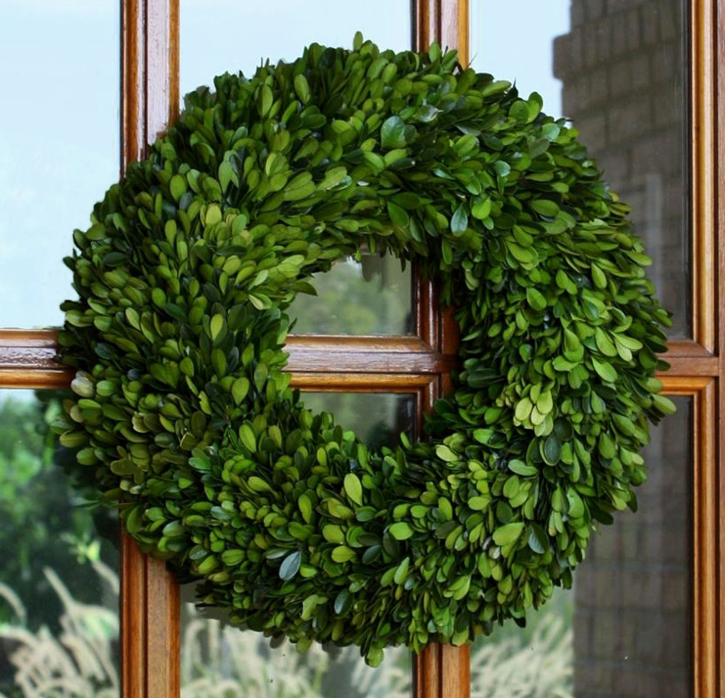 PRESERVED BOXWOOD WREATH - 16 INCH