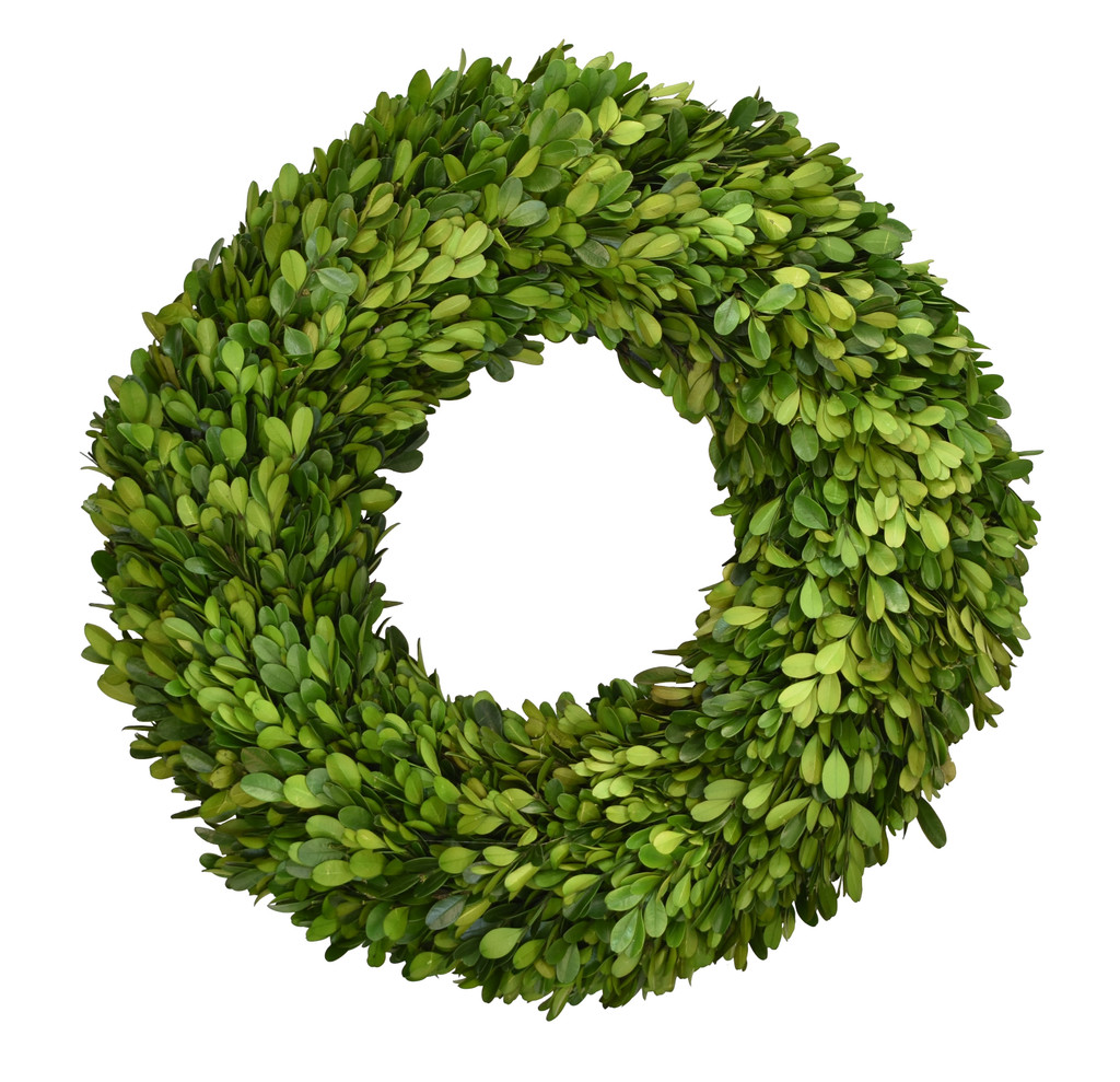 PRESERVED BOXWOOD WREATH - 16 INCH