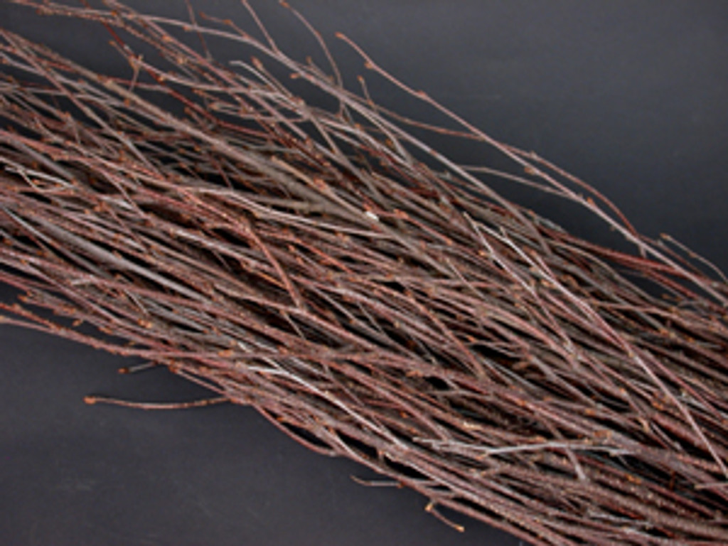 BIRCH BRANCHES 3-4 FT NATURAL 25 PCS PACKED 12