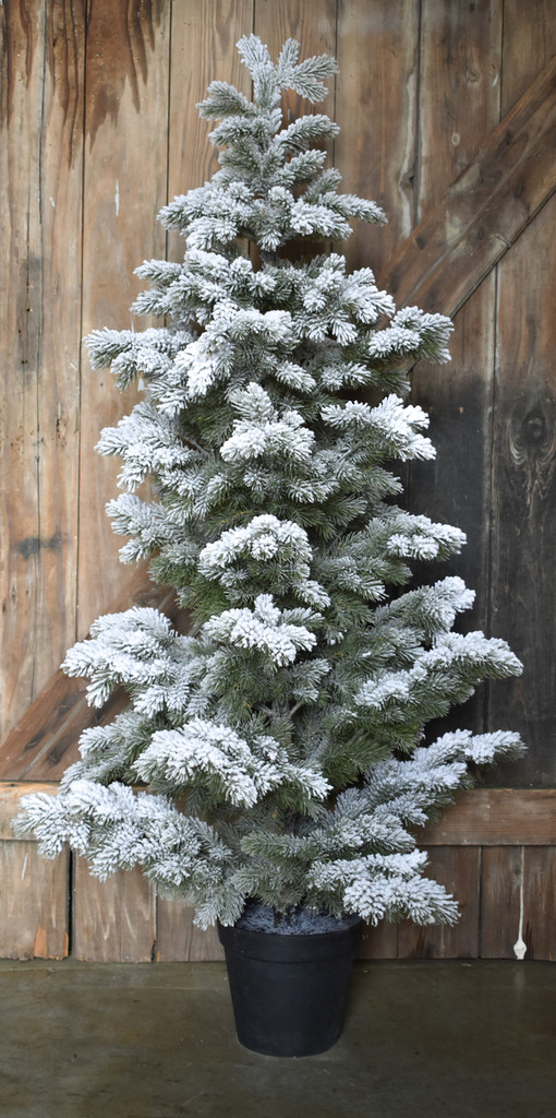 SNOW FLOCKED PINE TREE - MD - 56"