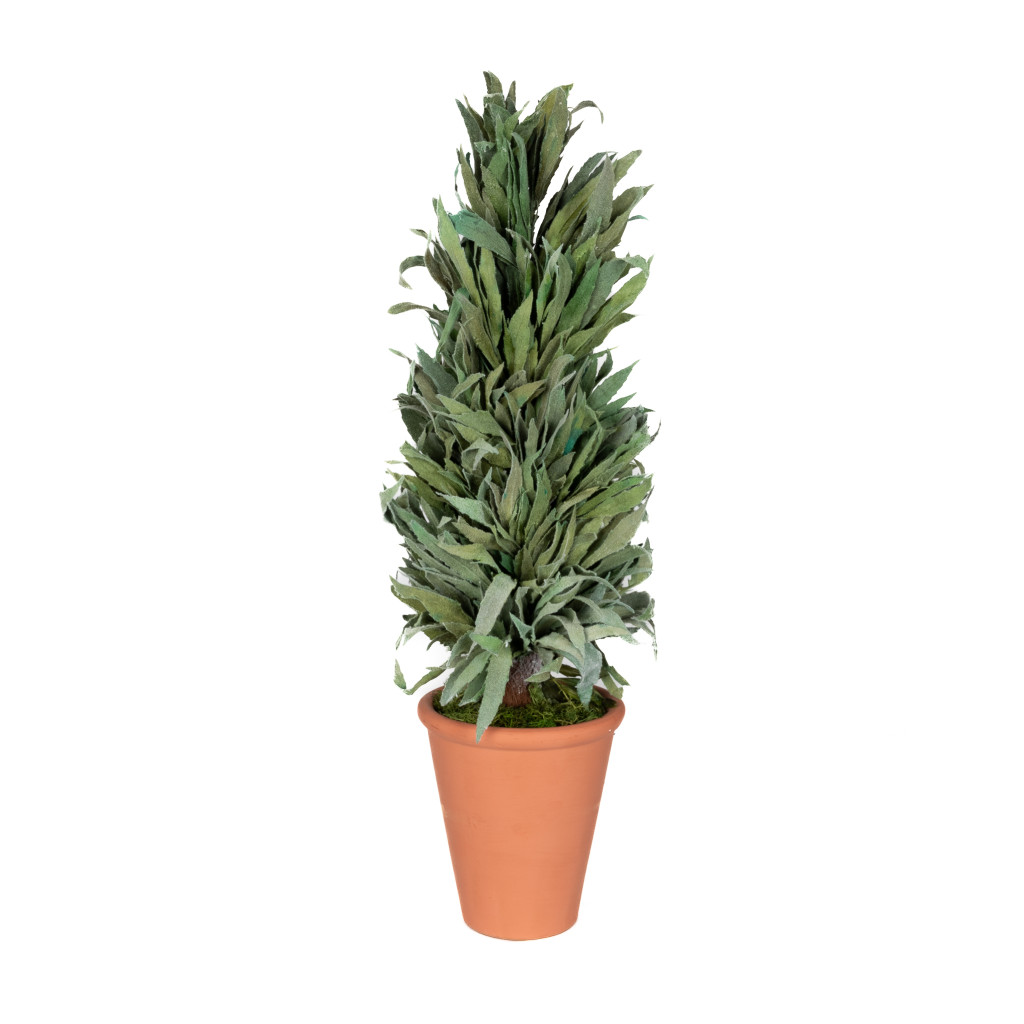 PRESERVED MAHONIA FROSTED CONE TOPIARY - 24"