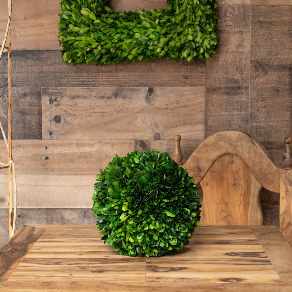 PRESERVED BOXWOOD BALL - 8"