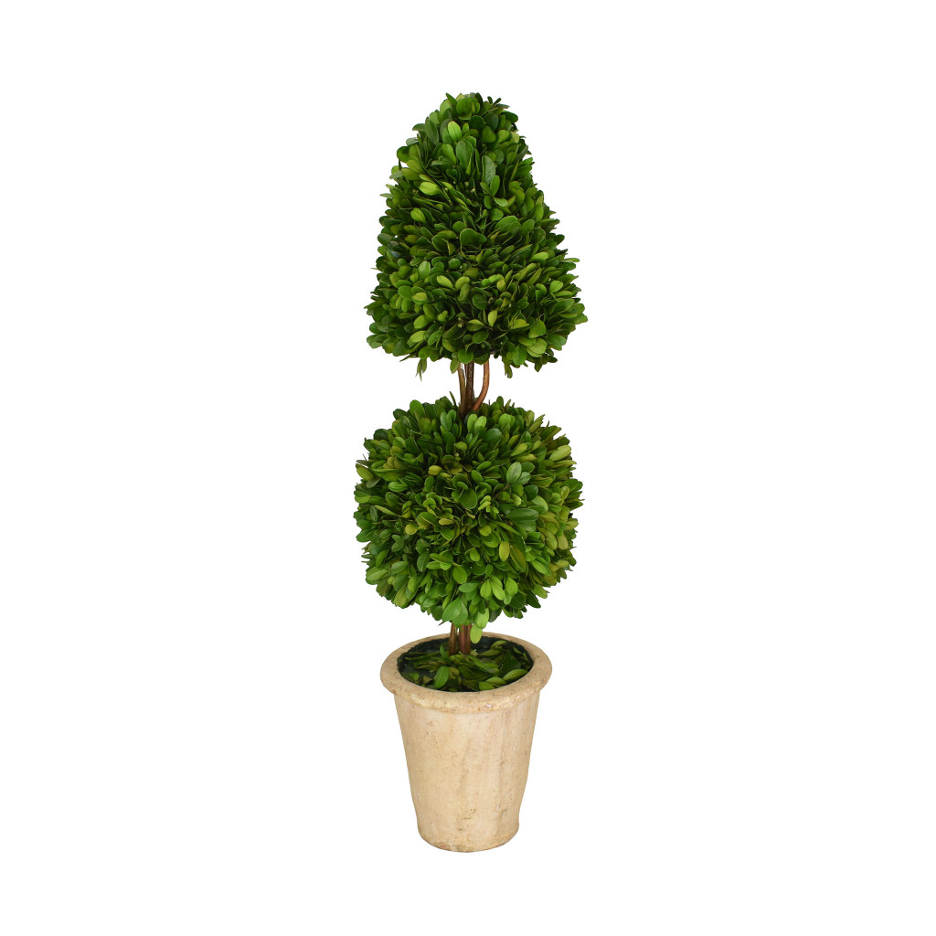 PRESERVED BOXWOOD TOPIARY - MIXED - 24 INCH