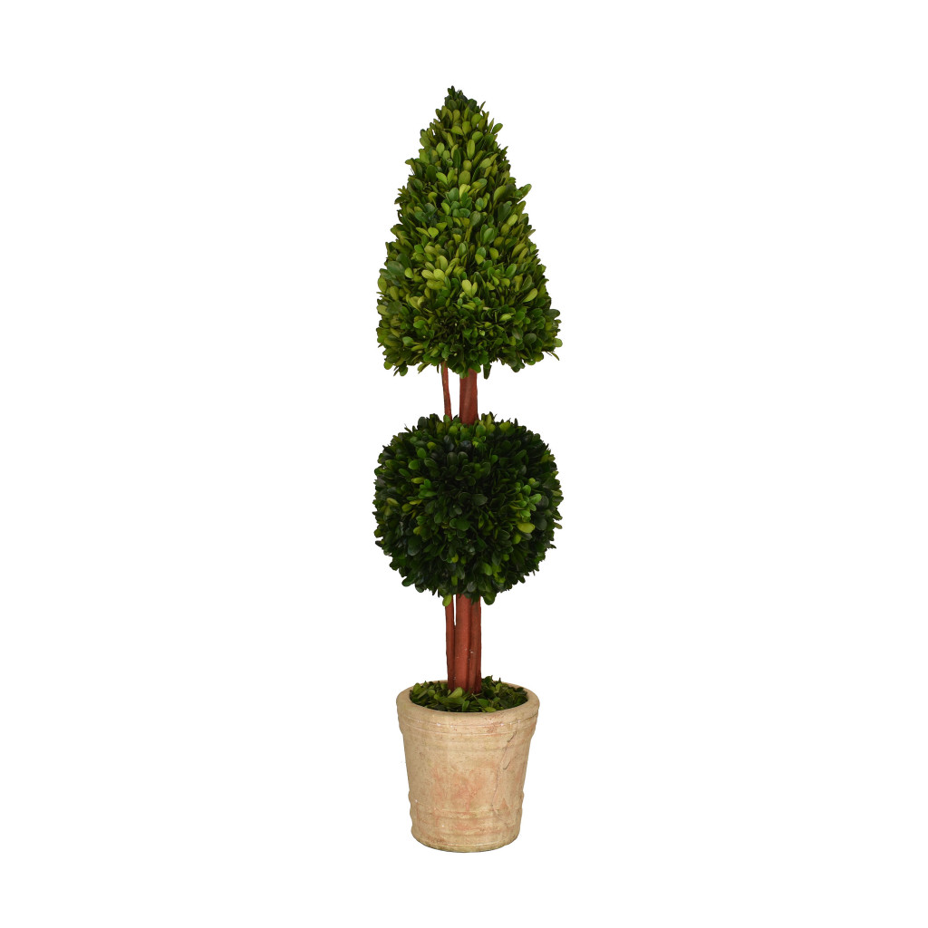 PRESERVED BOXWOOD TOPIARY - MIXED - 36 INCH