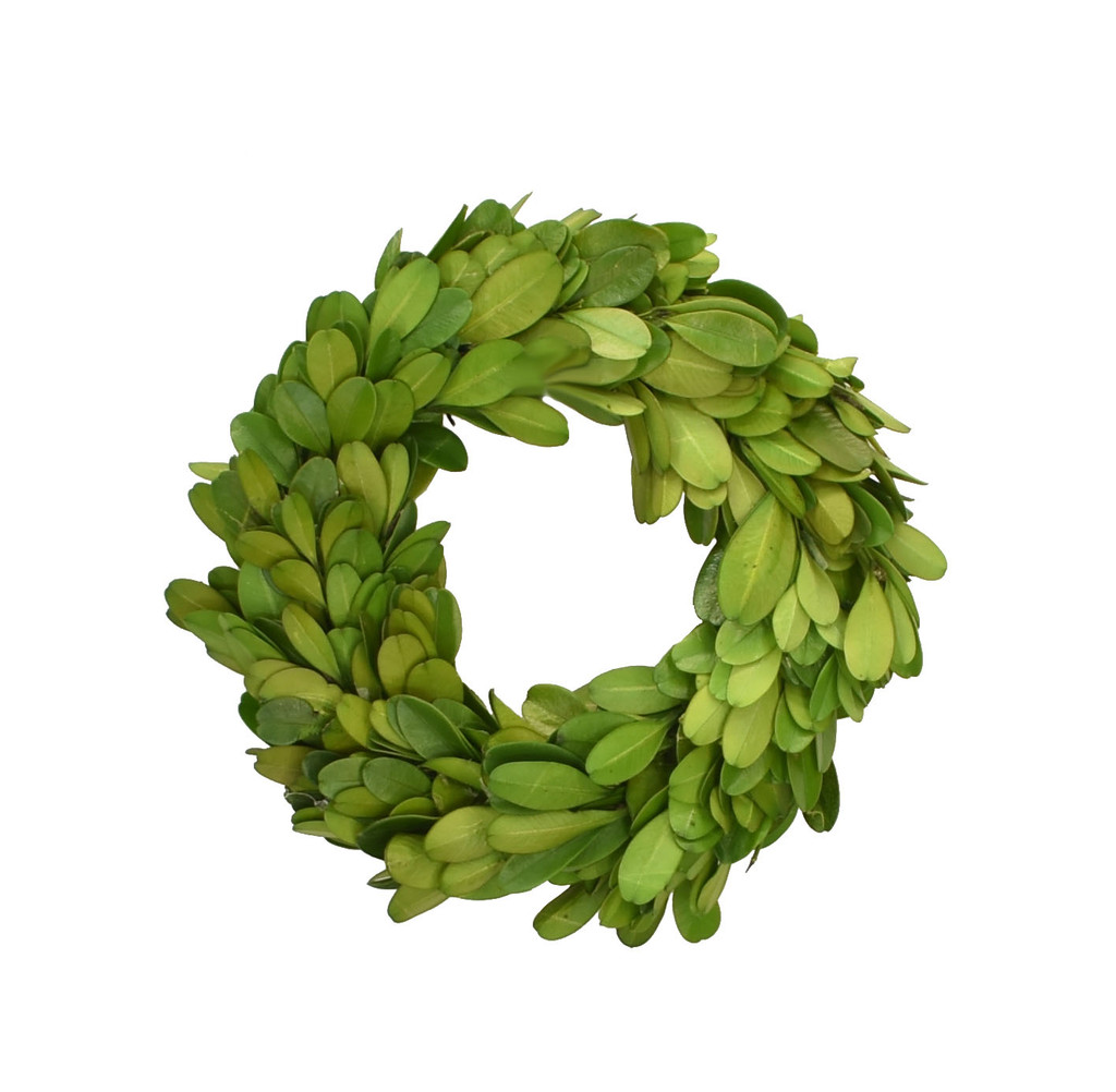 PRESERVED BOXWOOD CANDLE RING - 4.5 INCH