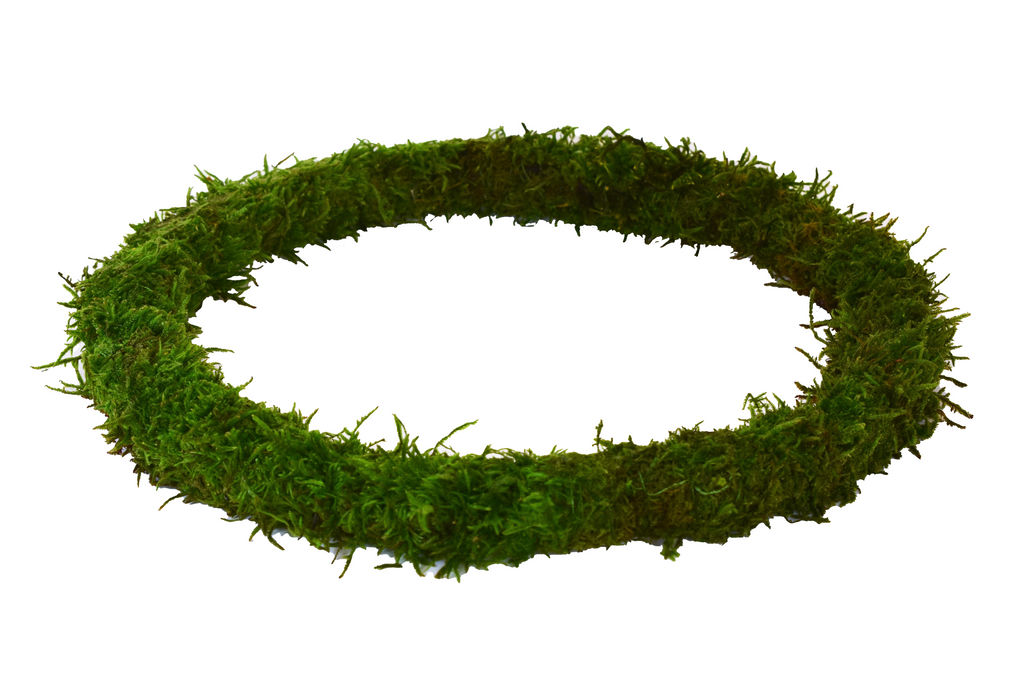 PRESERVED SHEET MOSS RING - 10 INCH