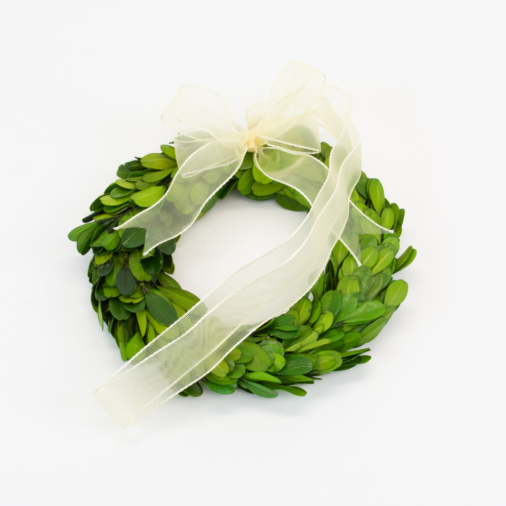 Boxwood Wreath Preserved Ribbon 6 Inch