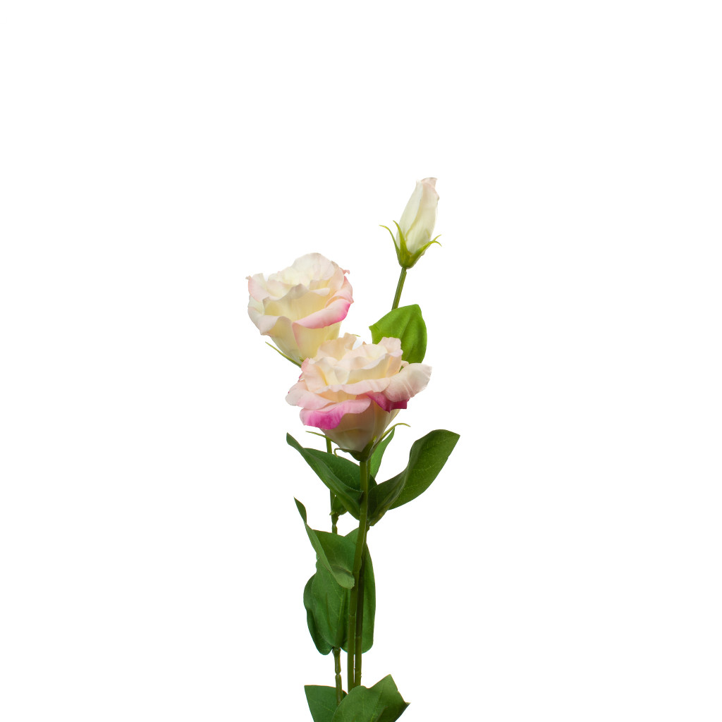 REAL TOUCH LISIANTHUS - BLUSH PINK