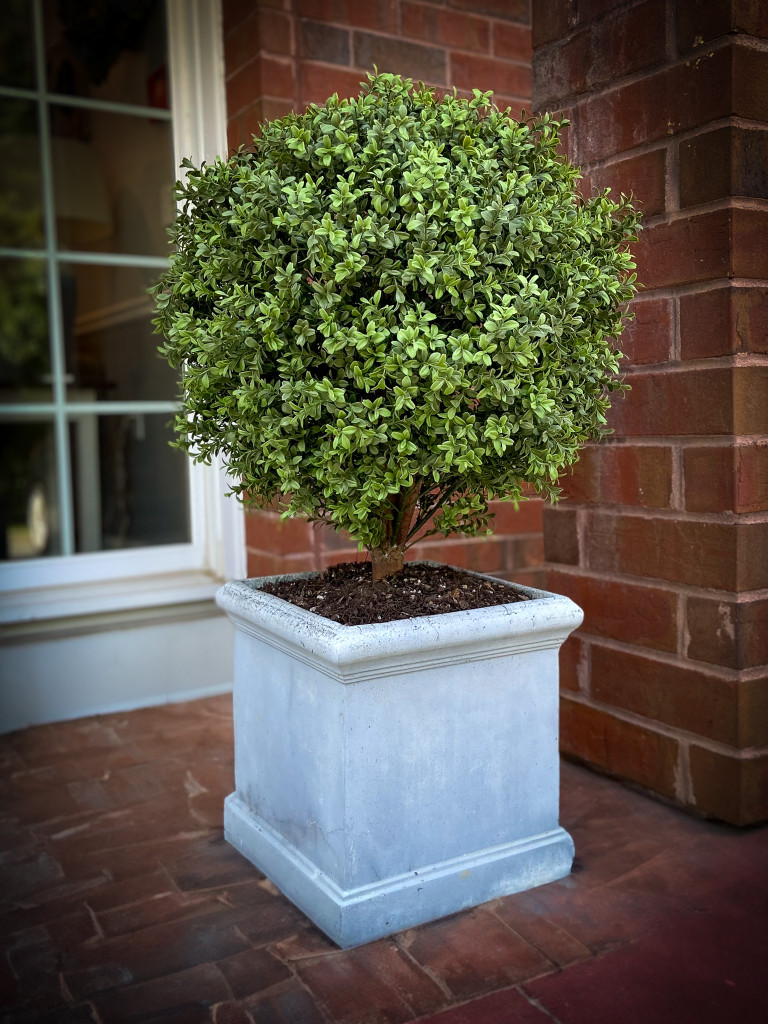 UV BOXWOOD BALL 24 X 34" TOPIARY