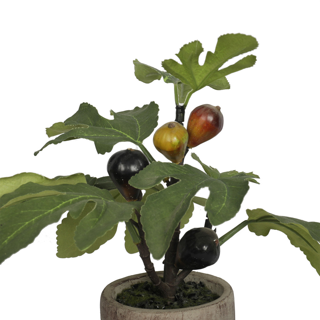 POTTED FIG PLANT - ARTIFICIAL - 14 INCH