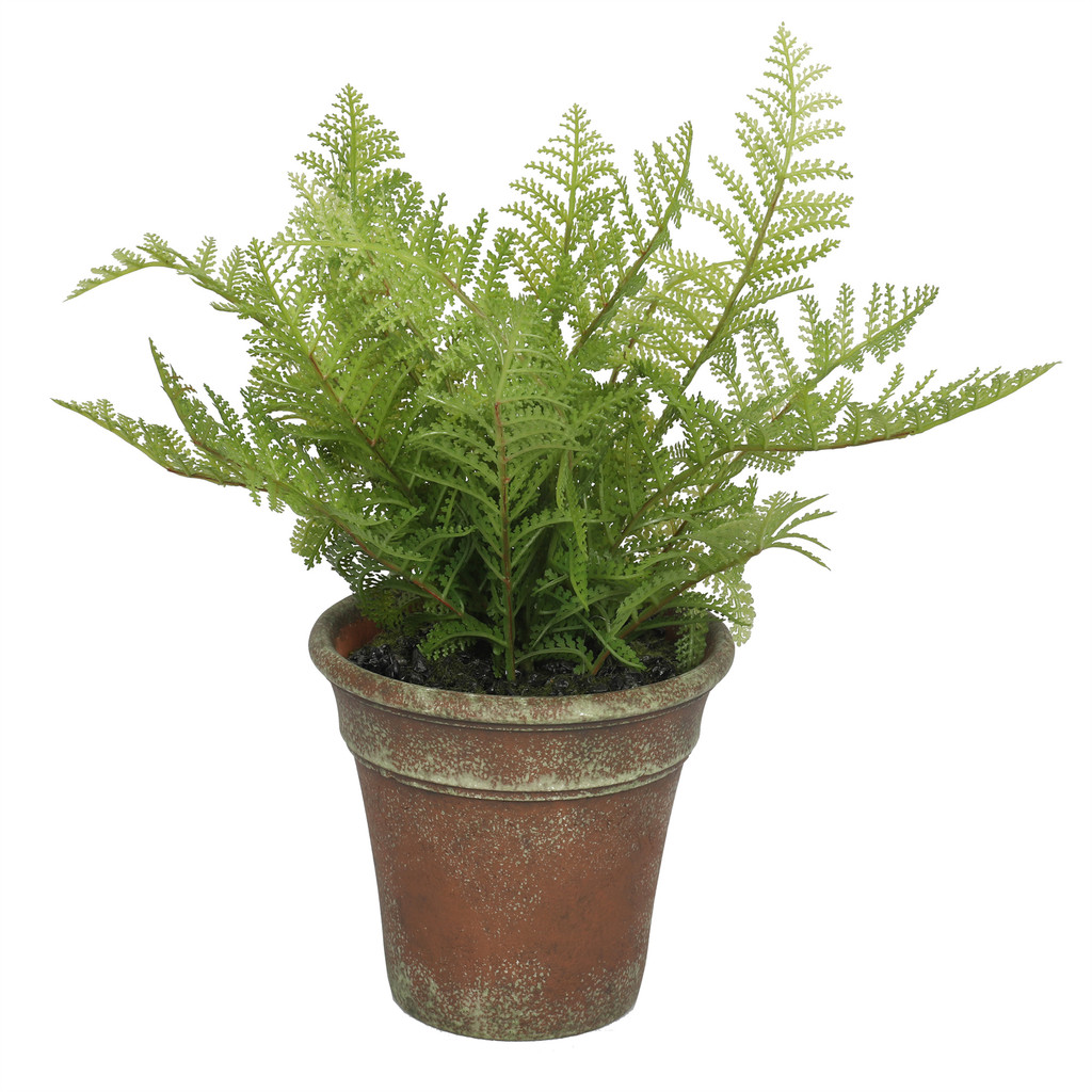 FOREST FERN PLANT - ARTIFICIAL - 13 INCH