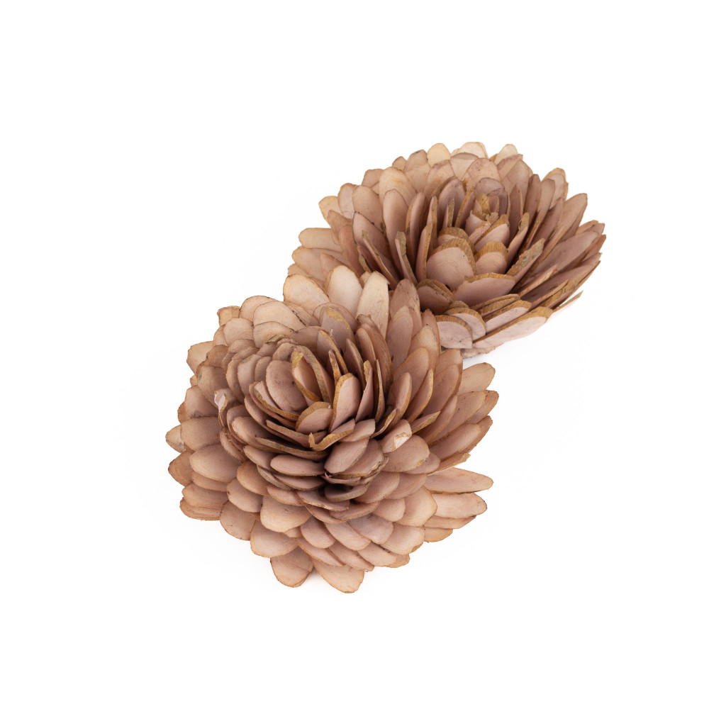 SHOLA ALMOND FLOWER BAG - BLUSH - 2 PIECES