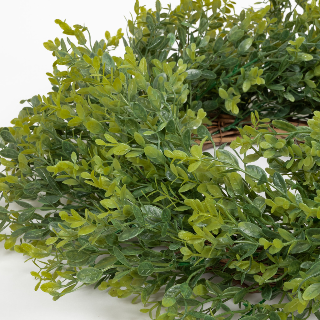 BOXWOOD WREATH GREEN - 22 INCH