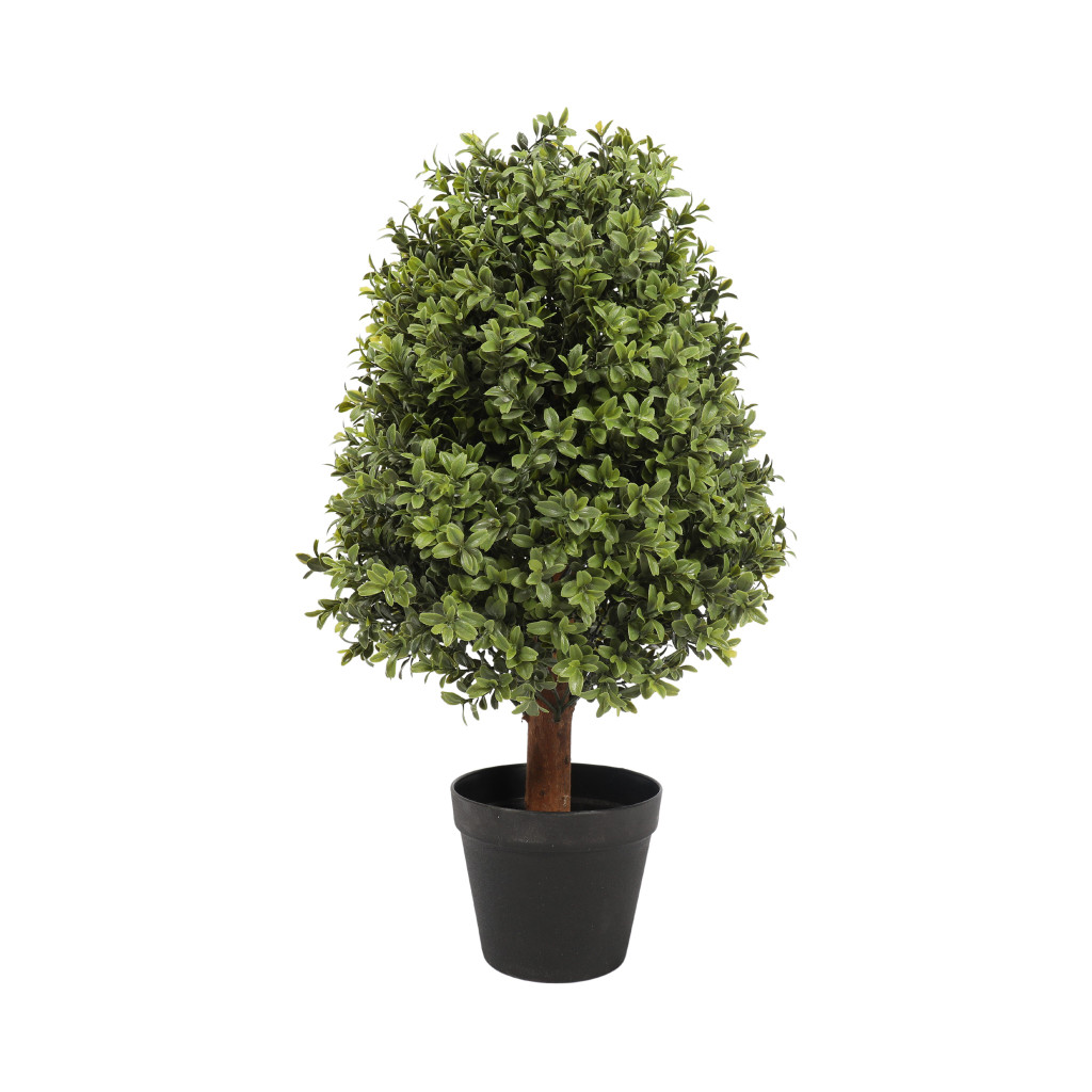 UV BOXWOOD OVAL TOPIARY - 24 INCH