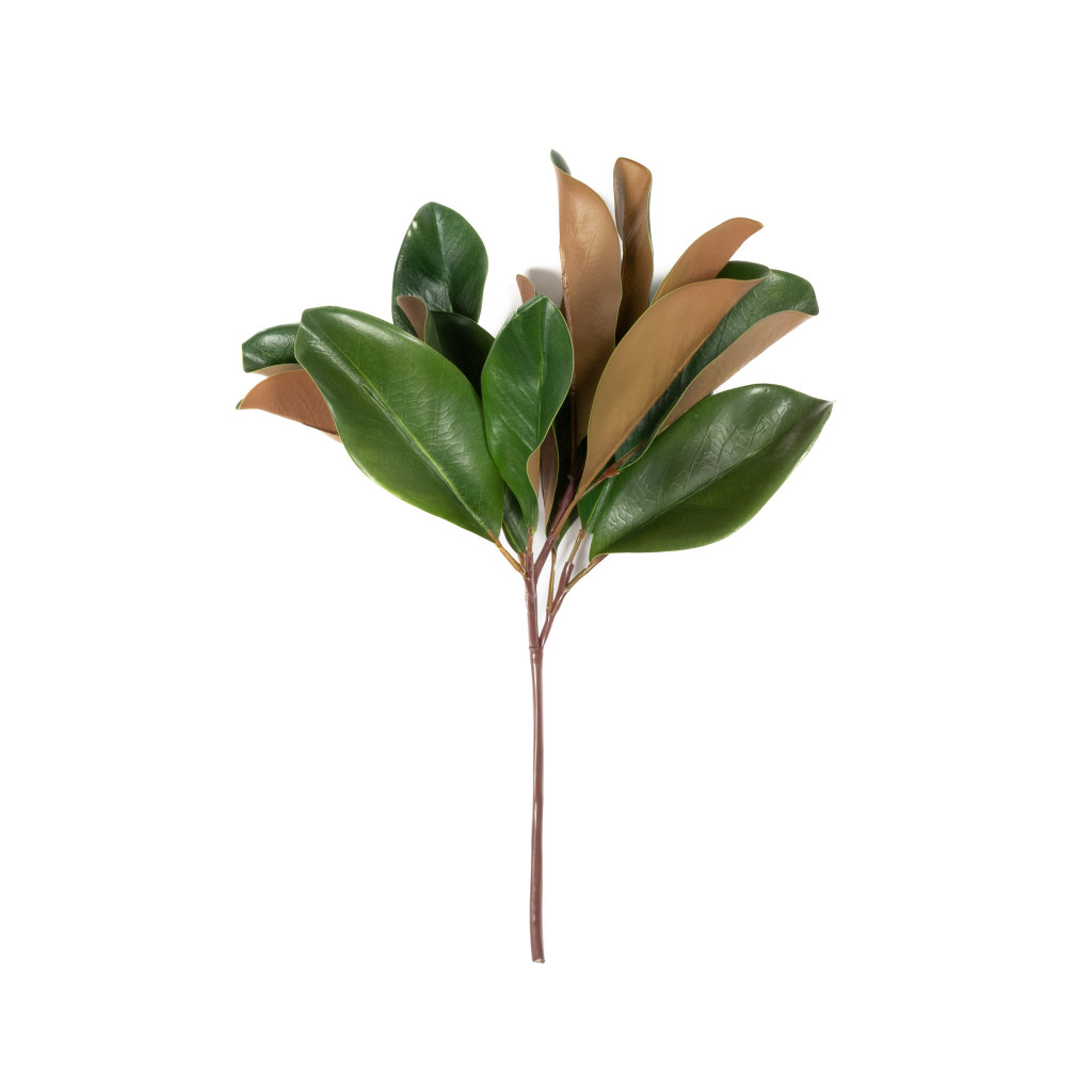 MAGNOLIA LEAF SPRAY - 16 INCH