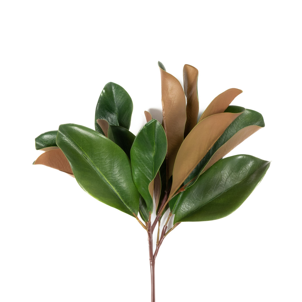 MAGNOLIA LEAF SPRAY - 16 INCH