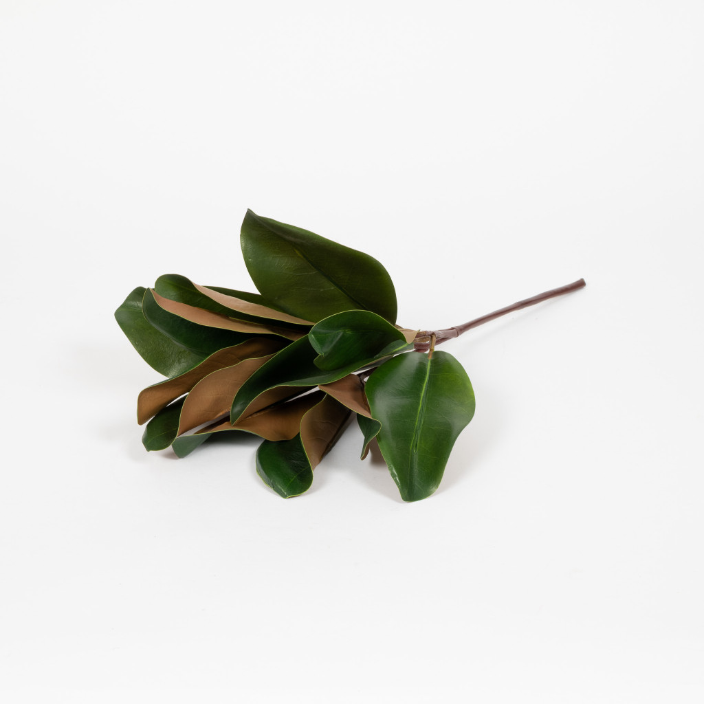 MAGNOLIA LEAF SPRAY - 16 INCH
