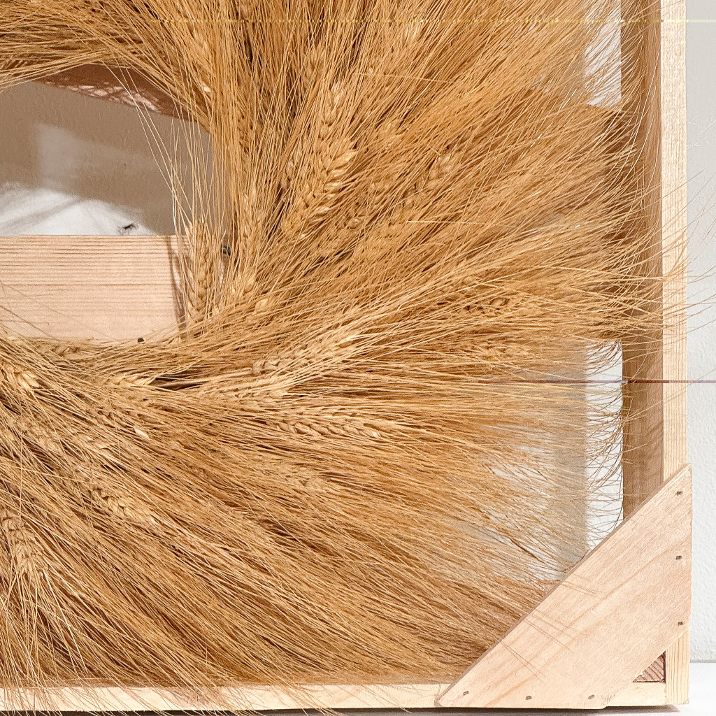DRIED WHEAT WREATH