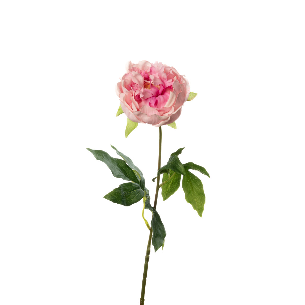 REAL TOUCH PEONY STEM  PINK - 23 INCH