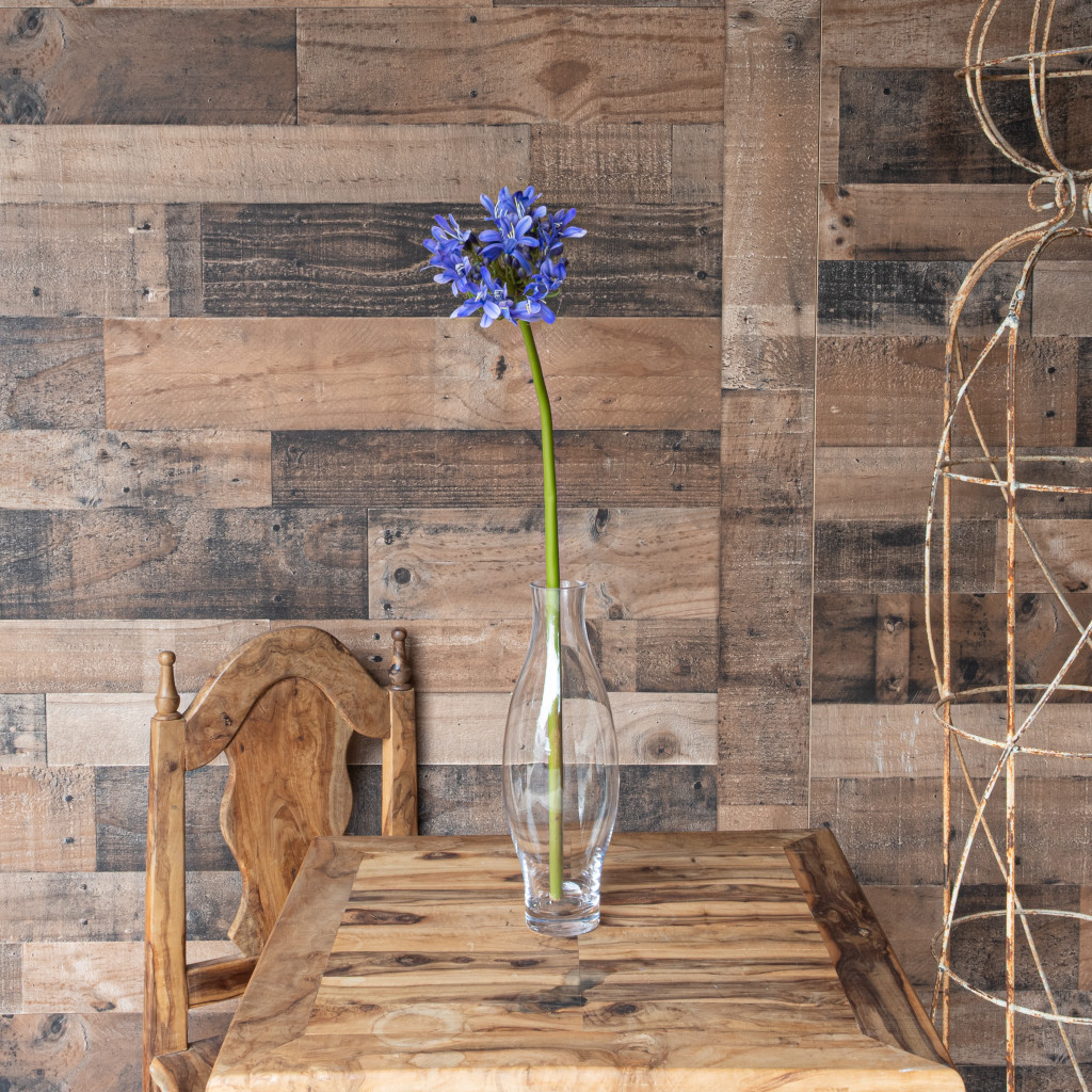 AGAPANTHUS STEM - 27 INCH - PURPLE