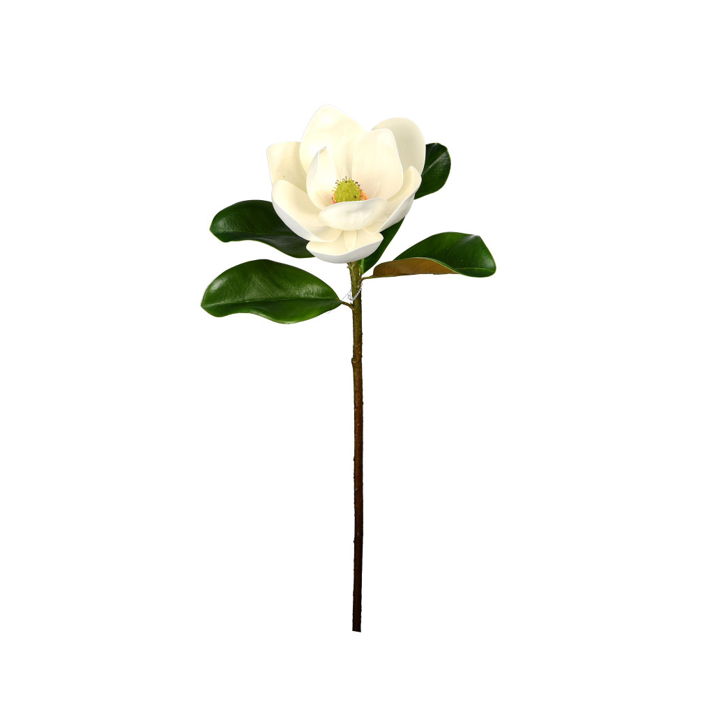 MAGNOLIA FLOWER STEM - 23 INCH
