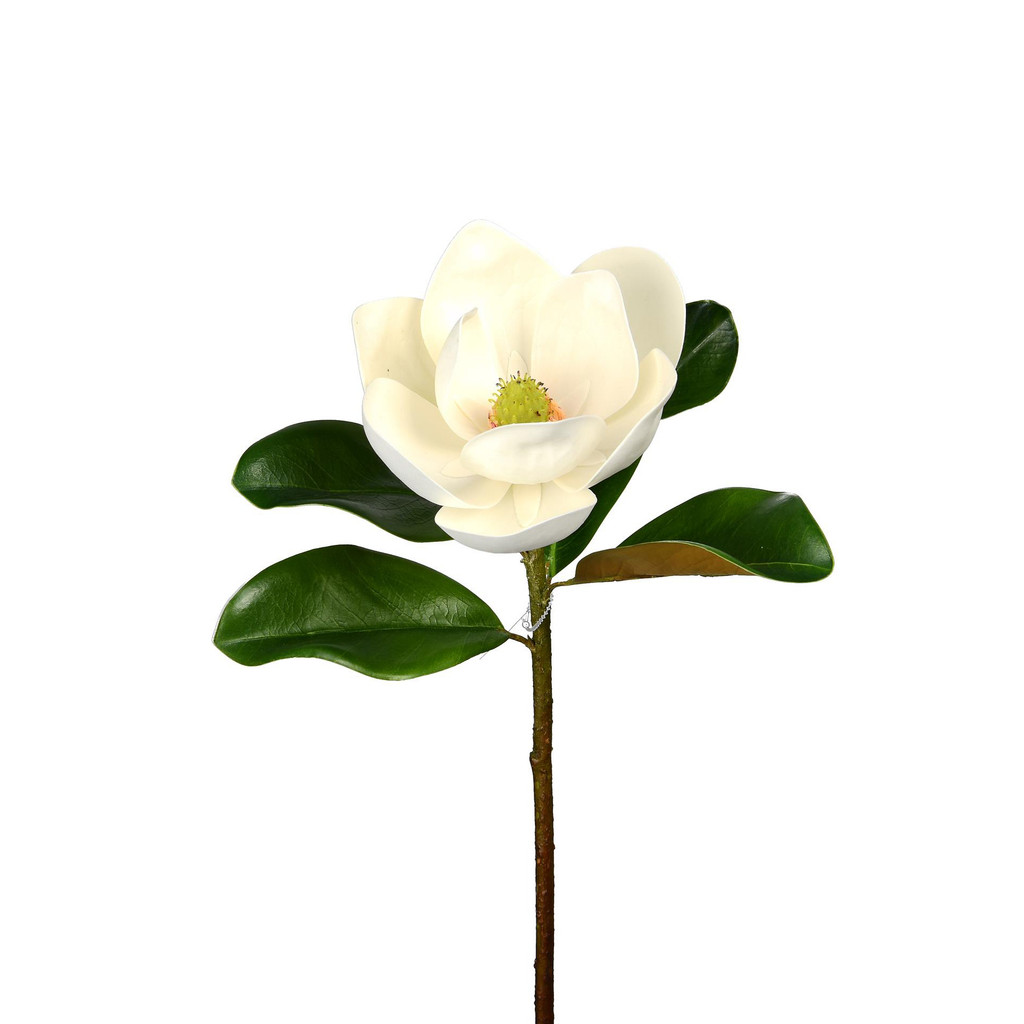 MAGNOLIA FLOWER STEM - 23 INCH