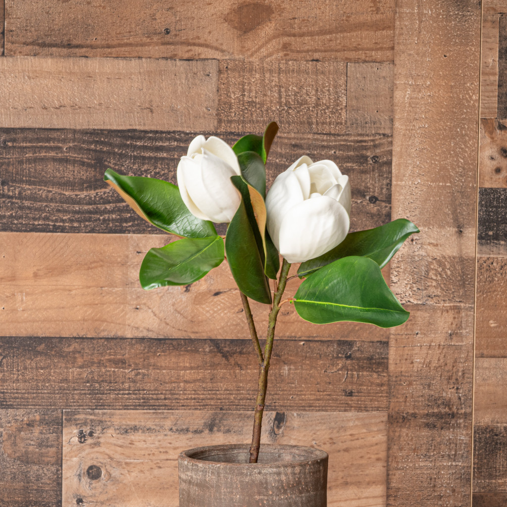 MAGNOLIA FLOWER AND BLOOM STEM - 27 INCH