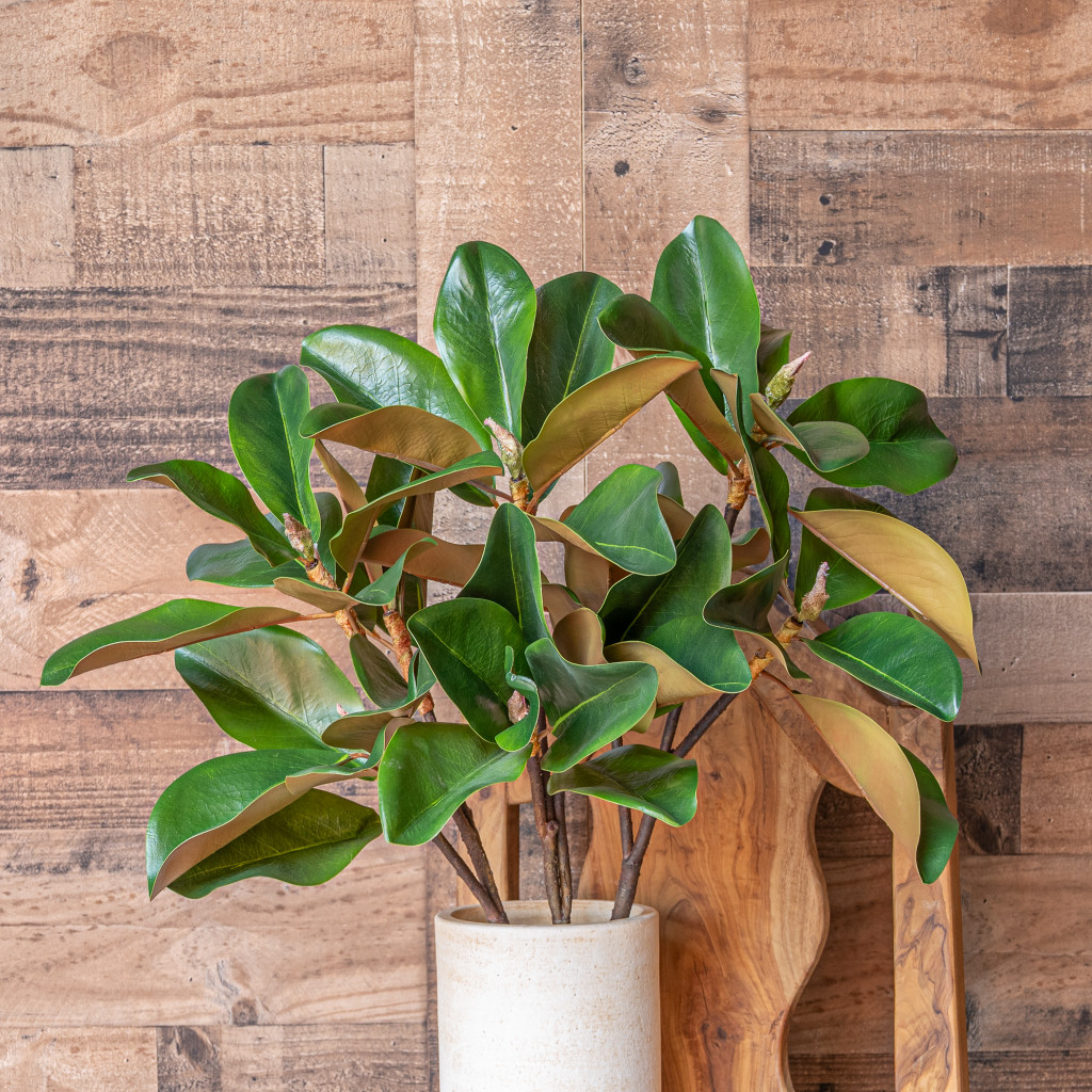MAGNOLIA LEAF BRANCH - 24 INCH 