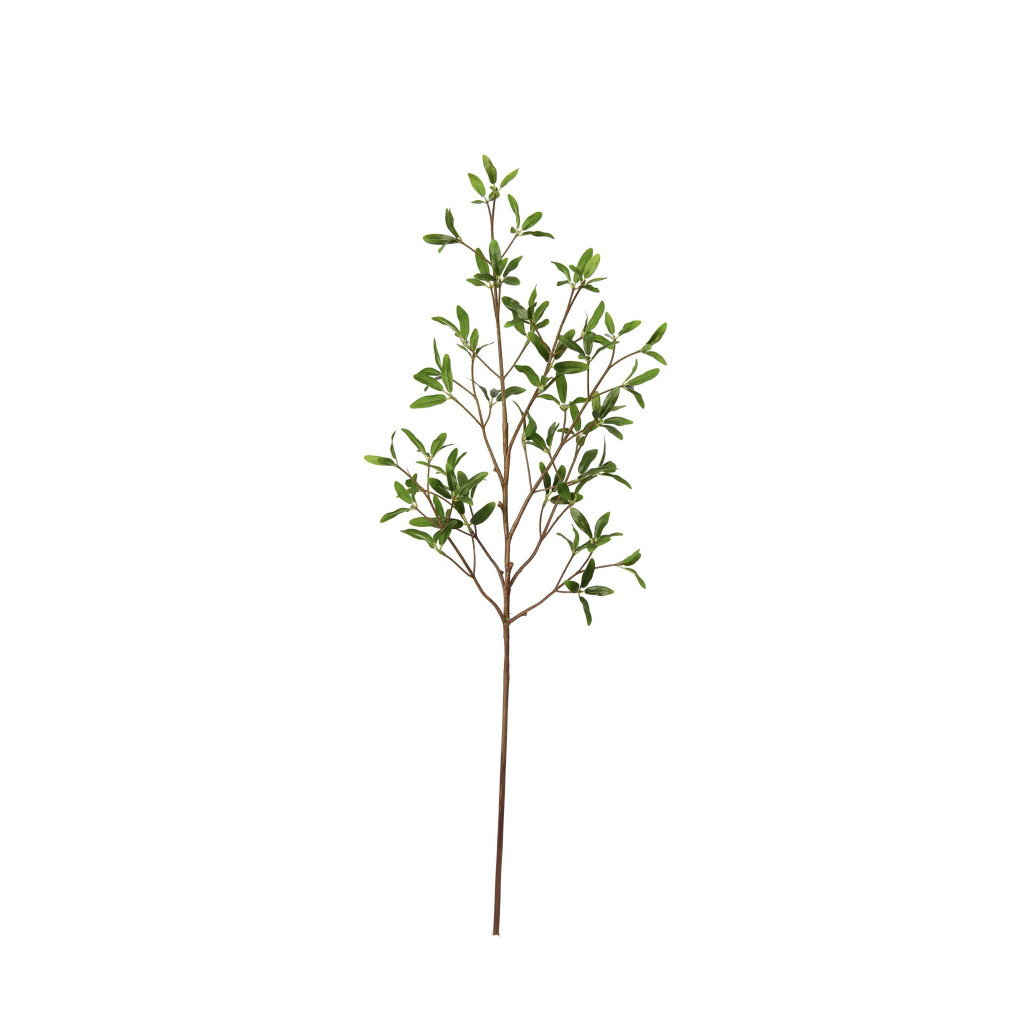 COPROSMA KIRKII SPRAY - 33 INCH