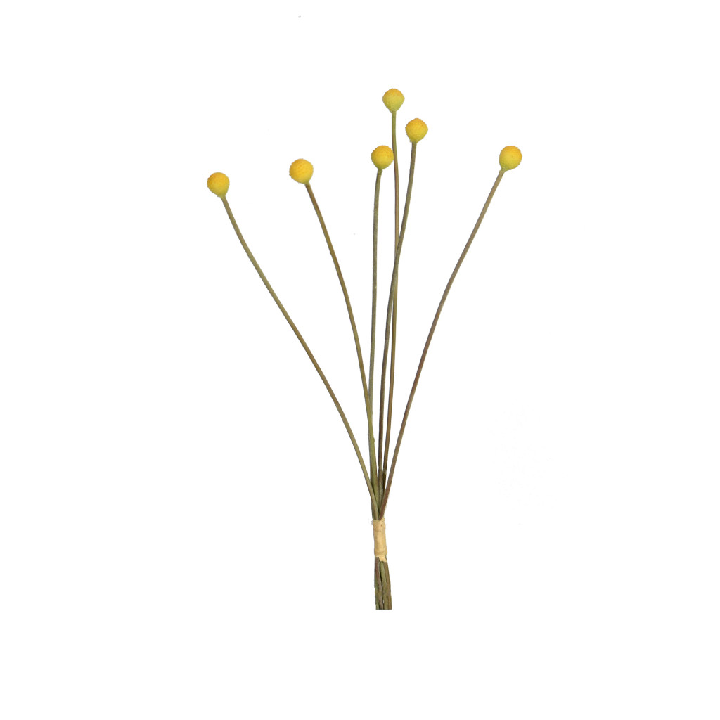 MINI BILLY BALLS - 19 INCH - YELLOW 