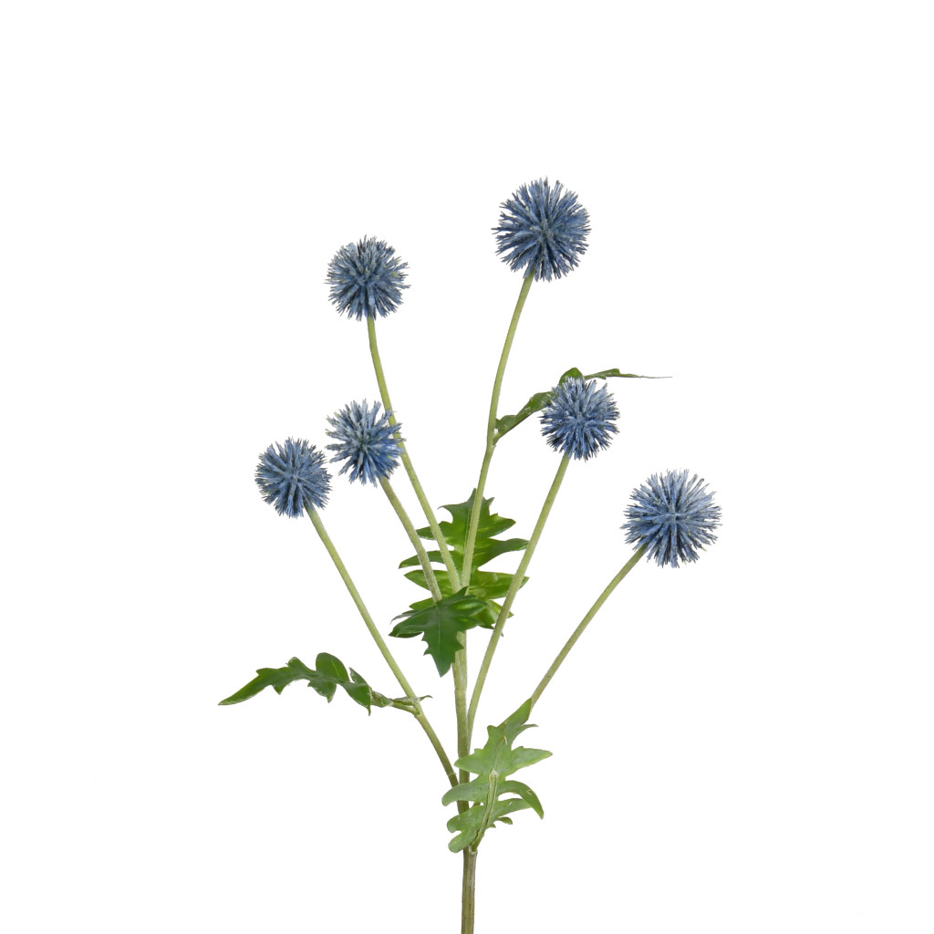 ECHINOPS SPRAY - 25 INCH - BLUE