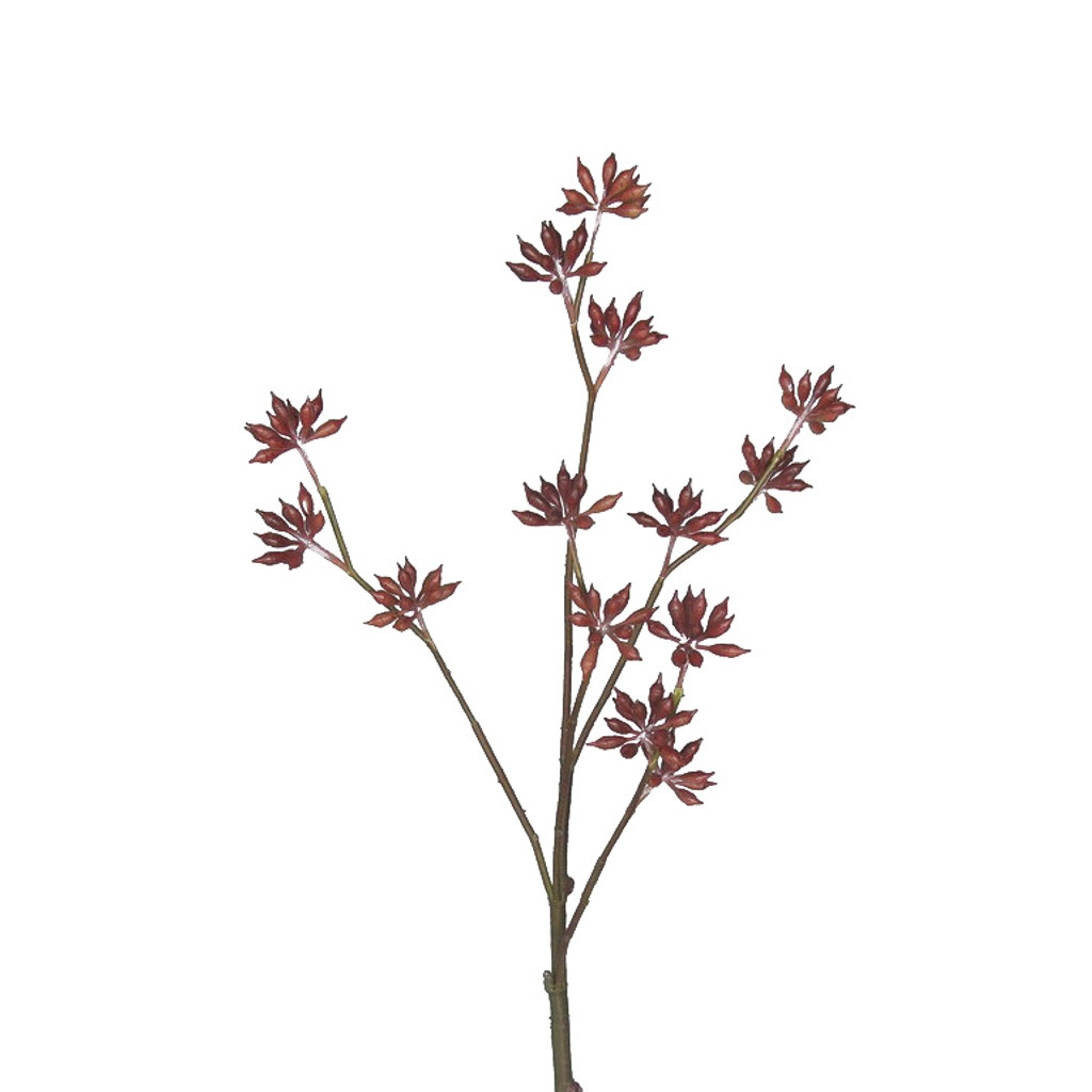 EUCALYPTUS BUD SPRAY 33 INCH