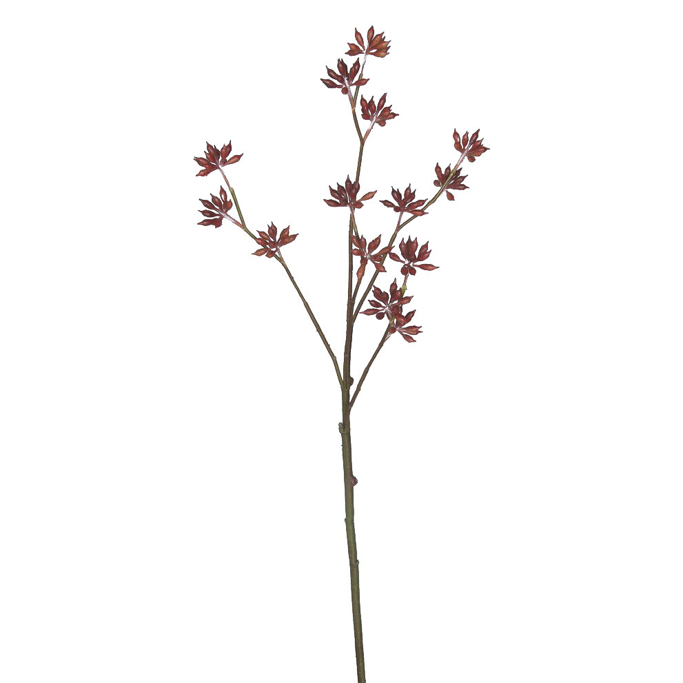 EUCALYPTUS BUD SPRAY 33 INCH