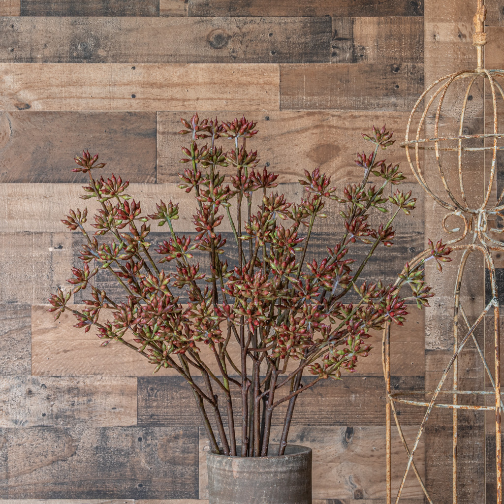 EUCALYPTUS BUD SPRAY 33 INCH